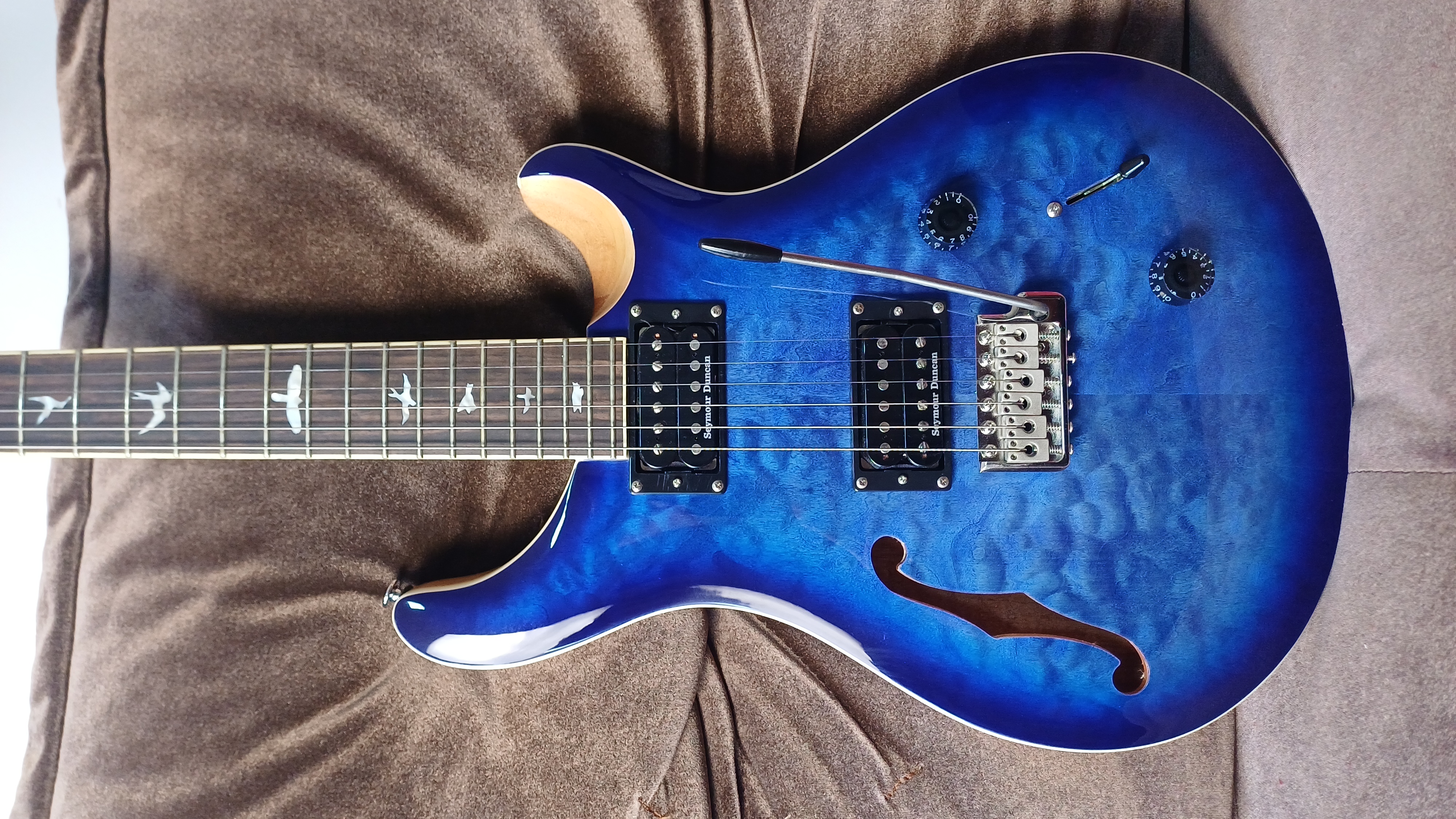 PRS SE Custom 22
